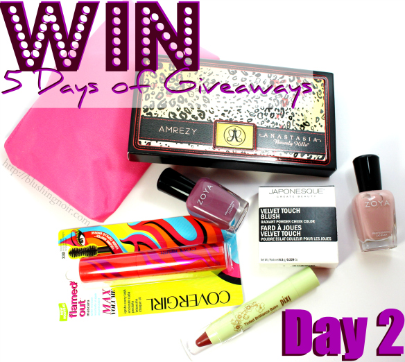 5 Days of Giveaways Day 2