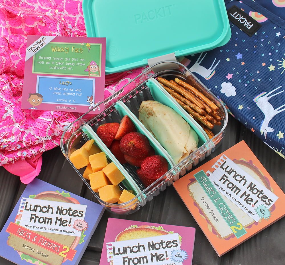 https://blushingnoir.com/wp-content/uploads/2019/08/6-PACKIT-Bento-Box-dividers-kids-school-lunch-tips-tricks-picky-eaters.jpg